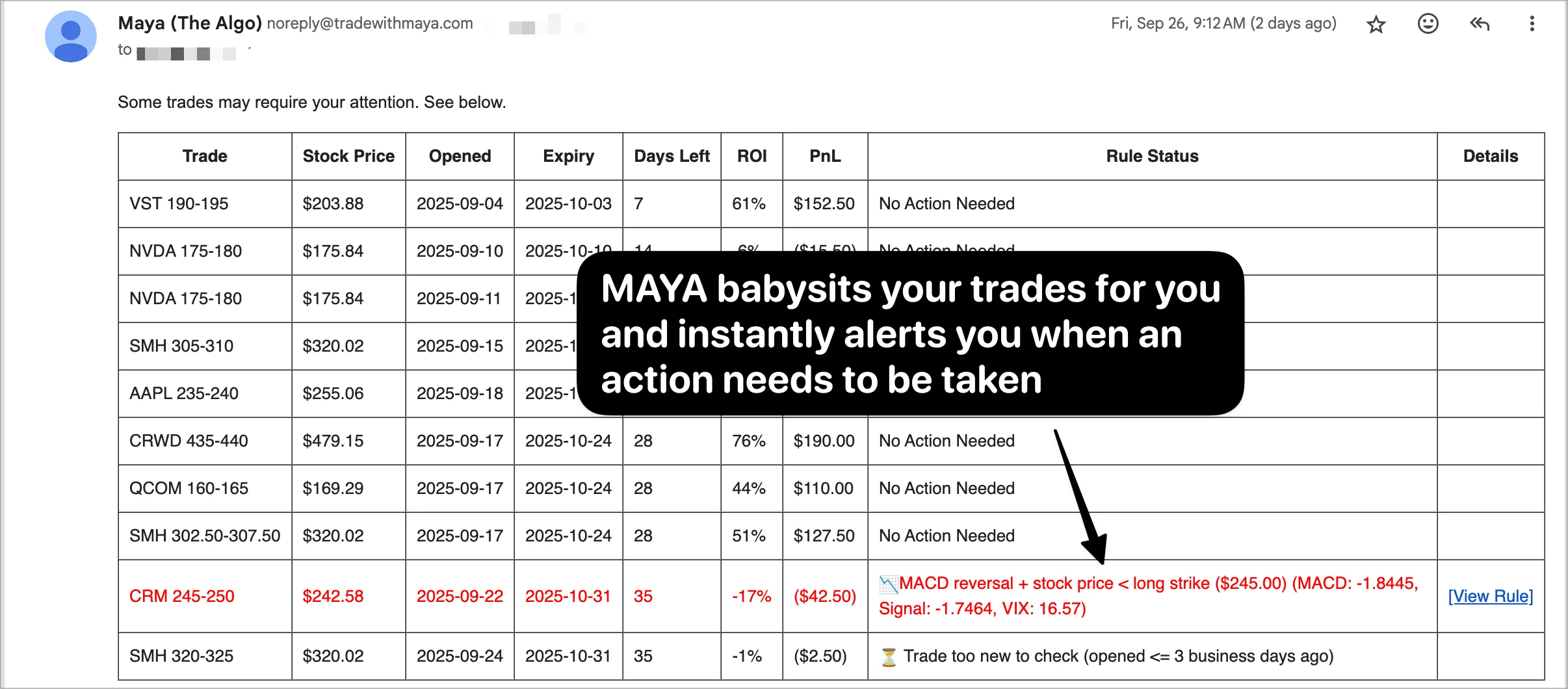 Maya Trading Platform Interface Screenshot 5 - Options Trading Dashboard and Analytics